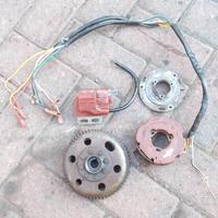 Statore volano bobina Motoplat Mini 6 sx