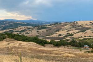 Terreno Agricolo di 42 Ettari a Pietracatella