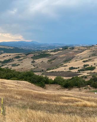 Terreno Agricolo di 42 Ettari a Pietracatella