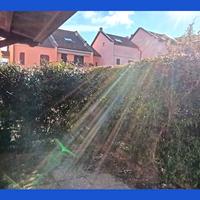 Appartamento Pignone [Cod. rif NZ5T4BTLVRG]