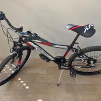 Mountain bike