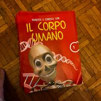 Divertiti e conosci con il corpo umano