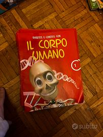 Divertiti e conosci con il corpo umano