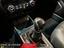 Immagine 14