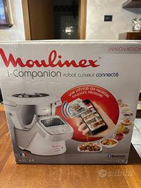 Robot companionv