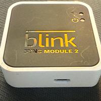 Blink sync module 2