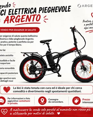 Bici elettrica