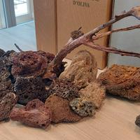 rocce per acquario con radice