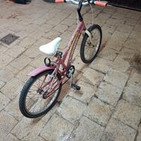 bicicletta per bambina da 20 pollici 