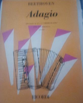 Libri per fisarmonica