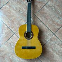 Chitarra eko