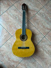 Chitarra eko