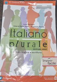libro italiano plurale, edizione verde