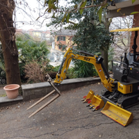 Miniescavatore