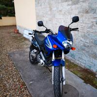 SUZUKI XF650 FREEWIND