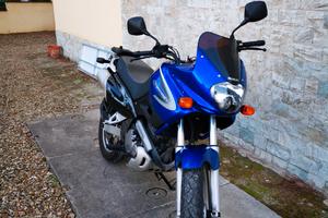 SUZUKI XF650 FREEWIND