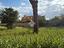 Immagine 26