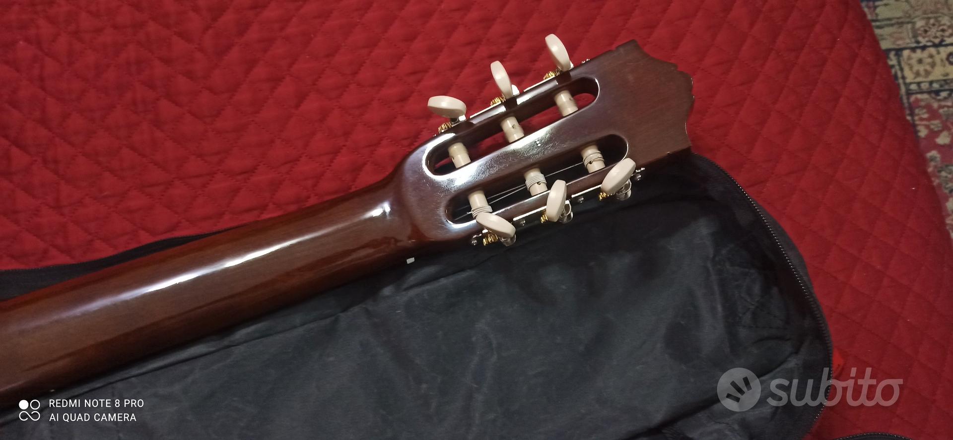 strumenti musicali - Strumenti Musicali In vendita a Torino
