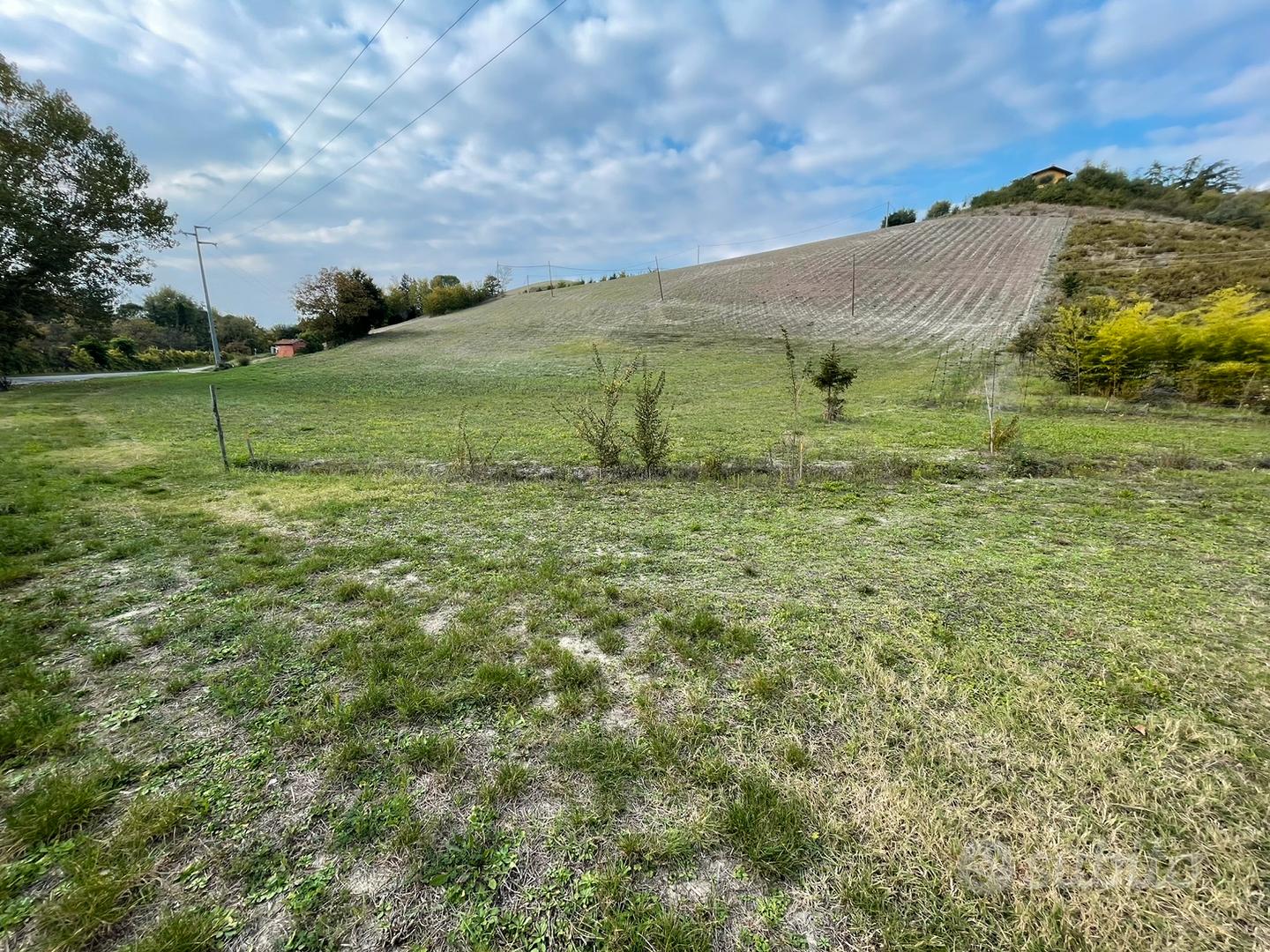 Terreno agricolo a Ponticelli Imola - Vista 5