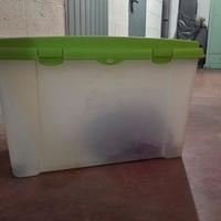Box multiuso
