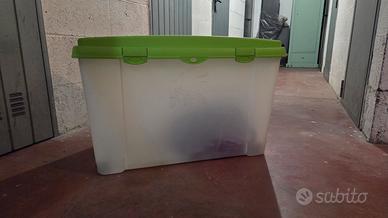 Box multiuso