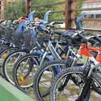 C.E.R.C.O. Bicicletta
