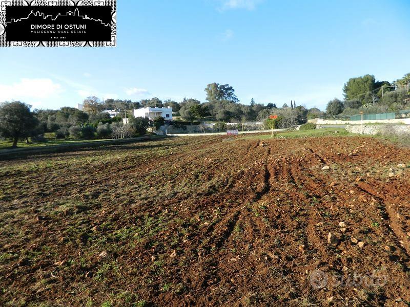TERRENO FRONTE STRADA 7500mq - ZONA RESIDENZIALE - Vista 5
