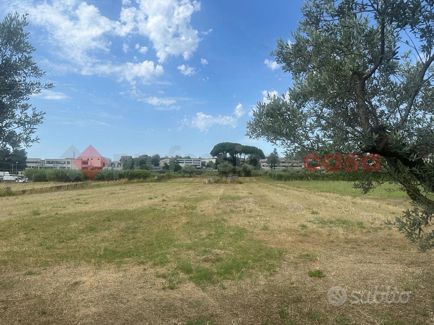 Terreno Agricolo Albano Laziale [837VCG] - Altro