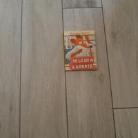 libro di Geronimo stilton