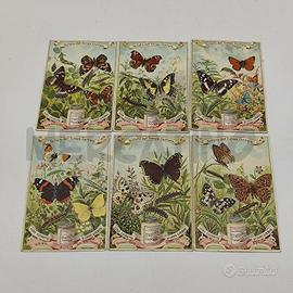 FIGURINE LIEBIG 1897 N 518 FARFALLE D'ITALIA