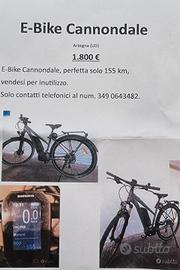 e bike cannondale 
