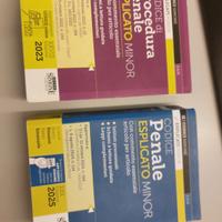 codice penale e procedura penale 
