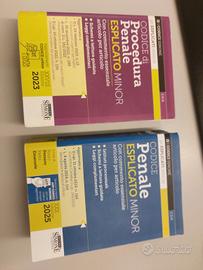 codice penale e procedura penale 