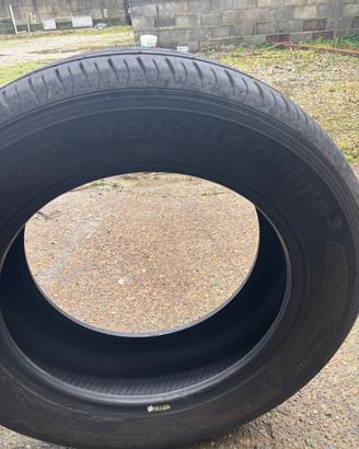 Gomme estive