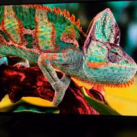 SMART TV SONY OLED 4K ULTRA HD XR 55A80J