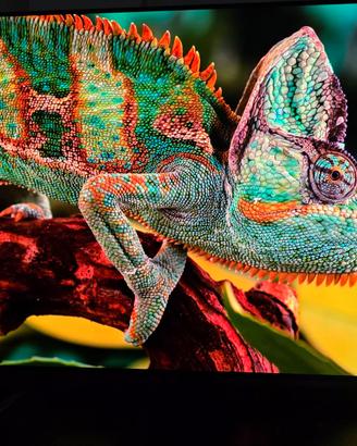 SMART TV SONY OLED 4K ULTRA HD XR 55A80J