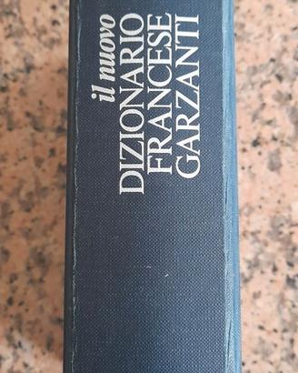 DIZIONARIO FRANCESE