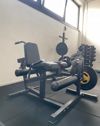 Leg extension/curl