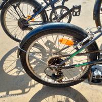 biciclette pieghevoli 
