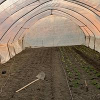 Serra orto 40 piantoni 20 archi mt.5