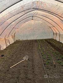 Serra orto 40 piantoni 20 archi mt.5