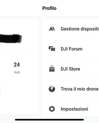 Drone Dji Mavic Mini Combo come nuovo