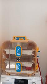 Incubatrice