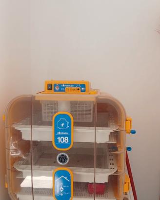 Incubatrice