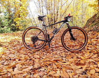 Specialized Epic HT tg L