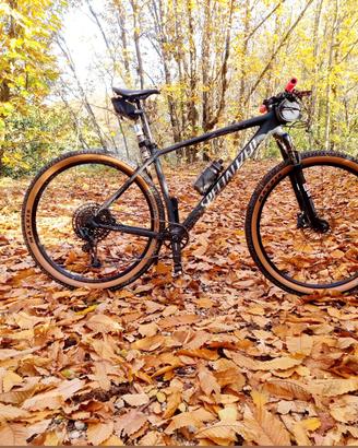 Specialized Epic HT tg L