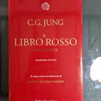 Carl Gustav Jung - Il Libro rosso - Bollati Boring