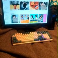 Mini PC con TV monitor Lg 22 pollici full HD con t