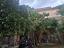 Immagine 24