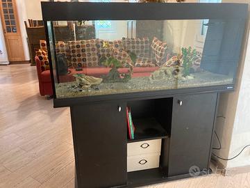 Acquario 240 l